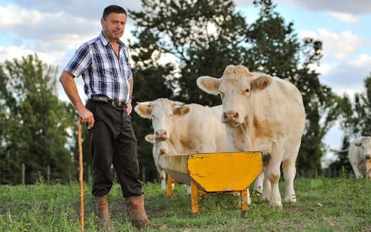 Fermierii pot depune de miercuri cererile pentru obținerea subvențiilor din agricultură aferente acestui an