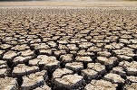 Un val de căldură extremă distruge culturi și intensifică seceta în Europa Centrală și Sud-Est. În Serbia, nivelul apelor a scăzut dramatic
