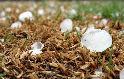 Catastrofele naturale provoacă anual pierderi de miliarde de dolari fermierilor