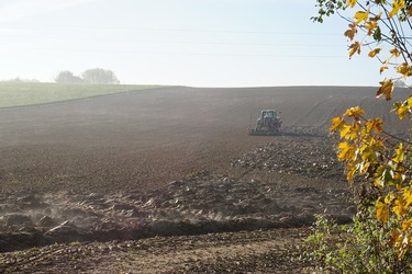 Statul, cu drept de preempțiune, nu a cumpărat niciun teren agricol din 2014, de când străinii au primit liber la achiziția de terenuri