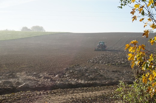 Statul, cu drept de preempțiune, nu a cumpărat niciun teren agricol din 2014, de când străinii au primit liber la achiziția de terenuri