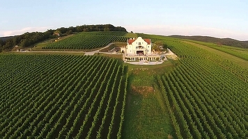 Ministerul Agriculturii vrea să acorde firmelor din sectorul vitivinicol un sprijin de 7 milioane lei