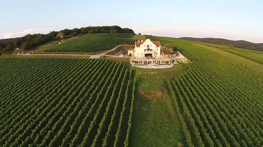 Ministerul Agriculturii vrea să acorde firmelor din sectorul vitivinicol un sprijin de 7 milioane lei