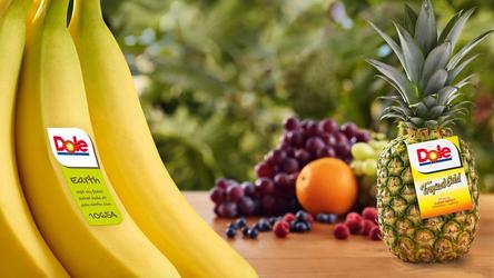 Total Produce, cel mai mare distribuitor de legume și fructe proaspete din Europa, are undă verde să preia 45% din acțiunile rivalului Dole, numărul 1 mondial, dar cu o condiție. Dole a renunțat anterior la România