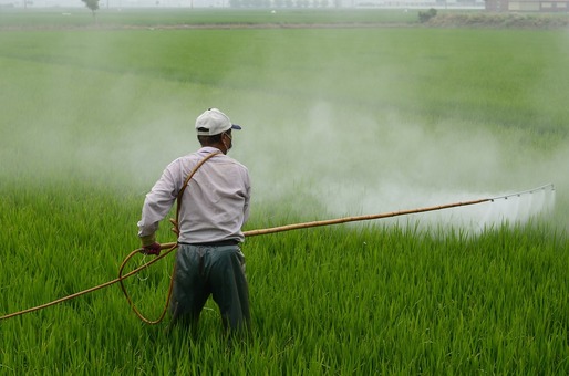 Monsanto, obligată să achite 289 milioane de dolari unui bolnav de cancer care a folosit un erbicid al companiei. Produsul este vândut și în România