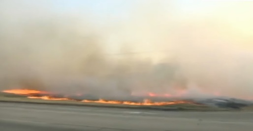 VIDEO Aproape un milion de hectare au fost distruse de incendiile din Bolivia