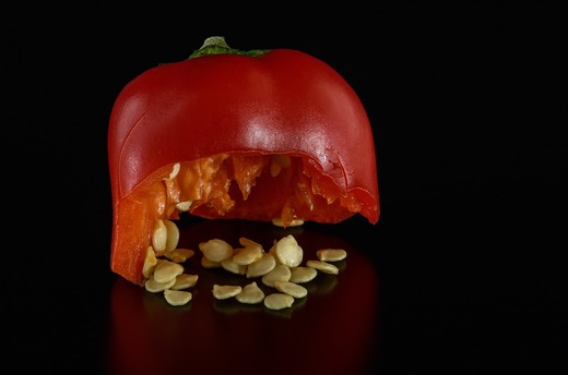 Guvernul a semnat apariția Băncii de resurse genetice vegetale Buzău. ”Este o decizie istorică"