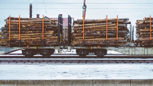 Ministrul Mediului: Cifre șocante în raportul Inventarului Forestier Național. Confirm astăzi că în România se taie într-un an aproximativ 38,6 milioane de metri cubi de lemn