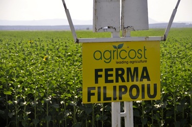 Operațiune surpriză: Compania marocană de stat OCP, cel mai mare producător de îngrășăminte fosfatice din lume, bate palma cu șeicul proprietar al Agricost și vine în România
