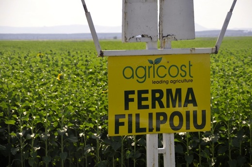 Operațiune surpriză: Compania marocană de stat OCP, cel mai mare producător de îngrășăminte fosfatice din lume, bate palma cu șeicul proprietar al Agricost și vine în România