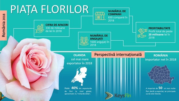 INFOGRAFIC Românii dăruiesc mai multe flori: business-urile din domeniul floral și-au dublat cifra de afaceri în ultimii cinci ani. Topul celor mai mari companii