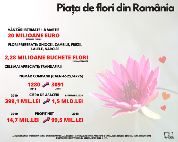 INFOGRAFIC Florile de Mărțișor și de 8 Martie - un business de peste 20 de milioane de euro. 2020 va fi cel mai bun an din istorie pentru piața de flori din România