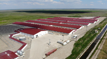 Grupul DCH Internațional, proprietarul Premium Porc, al doilea mare producător de carne de porc pe piața locală, afaceri apreciate ca satisfăcătoare, dar afectate de pesta porcină
