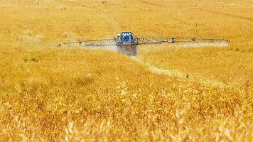 UE vrea să reducă la jumătate utilizarea pesticidelor și să extindă agricultura ecologică