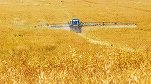 UE vrea să reducă la jumătate utilizarea pesticidelor și să extindă agricultura ecologică