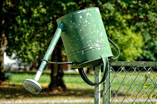 Ministrul Agriculturii: 1,4 milioane de hectare de culturi, afectate de secetă
