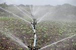 Lege nouă: Toți agricultorii vor putea folosi apa de irigații fără niciun fel de taxe