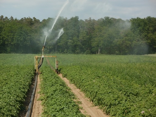 România este printre țările membre UE cu cele mai mari vânzări de pesticide