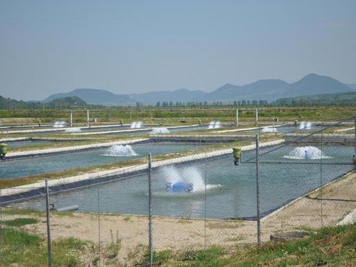 Tranzacție: ROCA pregătește preluarea unei participații la Piscicola, o fermă cu teren de 311 hectare și Agenția Națională pentru Pescuit și Acvacultură printre acționari