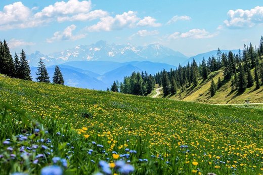 Marca înregistrată "Produs în Arie Naturală Protejată”, lansată