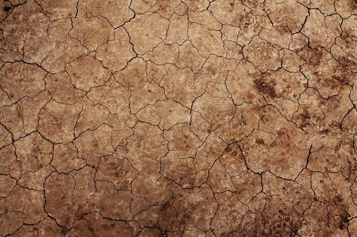 Ministrul Agriculturii: Peste 1,2 milioane hectare sunt afectate de secetă într-un grad mai mare de 30%