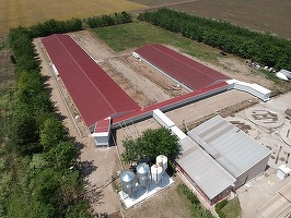 Premium Porc, al doilea mare producător de carne de porc pe piața locală, a ajuns la 10 ferme