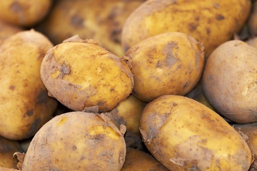 Producția de cartofi, ușor peste două milioane de tone în 2020