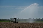 DECIZIE Agricultorii vor primi subvenție la factura de energie pentru irigații