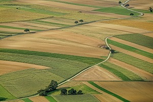 Senatul a adoptat tacit proiectul care anulează impozitul de 80% la revânzarea terenurilor agricole și noile condiții de vânzare pentru firme și populație
