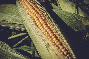 Deficitul României în comerțul cu produse agroalimentare, în creștere. Explicațiile Ministerului Agriculturii