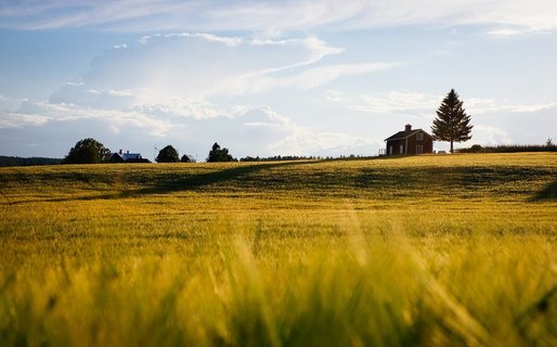 VIDEO Agro TV: China cumpără pământ și firme agricole. ”Un risc de securitate națională!”