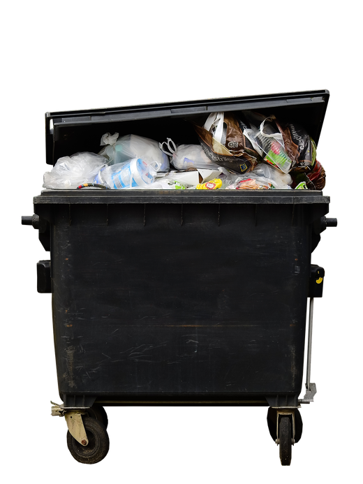 România aruncă în fiecare an peste 2,5 milioane de tone de mâncare. Topul alimentelor pe care românii le aruncă la gunoi