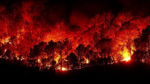 România a fost cea mai afectată țară membră UE de incendiile forestiere în 2020