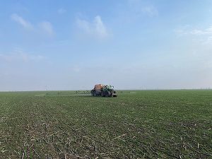 Tranzacție surpriză: Danezii de la Agri Invest, cu 3 ferme agricole și peste 10.000 hectare de teren agricol în România, vor să vândă afacerea pentru 100 milioane euro
