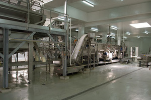 Tranzacție: Annabella Fabrica de Conserve Râureni preia Fabka Group, cu o fabrică de conserve în centrul Bărăganului și 13 ferme cu 120.000 metri pătrați terenuri agricole
