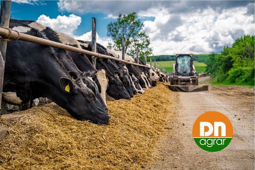 DN Agrar Group, controlat de familia olandeză de Boer, preia direct Lacto Agrar. Cesiune de la o firmă la alta de 3,7 milioane euro