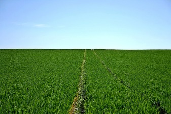 Prețurile îngrășămintelor agricole au atins maxime record în urma războiului dintre Rusia și Ucraina