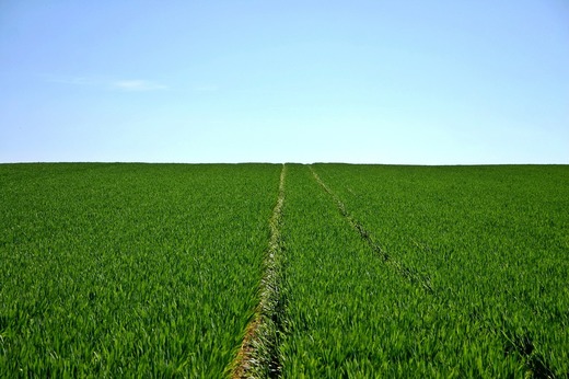 Prețurile îngrășămintelor agricole au atins maxime record în urma războiului dintre Rusia și Ucraina