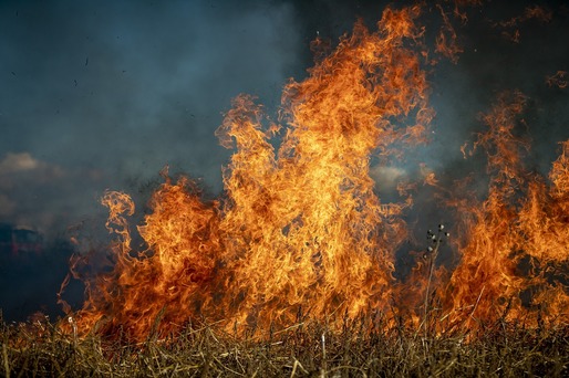 Fermierii care își incendiază terenurile pierd subvențiile și vor fi sancționați. Ministerele Mediului și Agriculturii modifică legislația