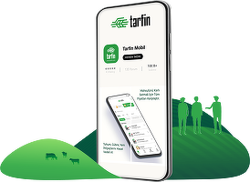 Startup-ul de origine turcă Tarfin intră pe piața din România