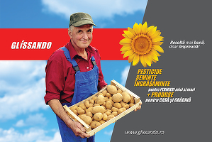 Glissando - acord financiar de peste 14 milioane de lei cu EximBank