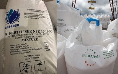 FOTO Două foste combinate de îngrășăminte chimice ale lui Ioan Niculae - scoase la vânzare. Pentru unul s-a vorbit și la două ministere și o agenție națională