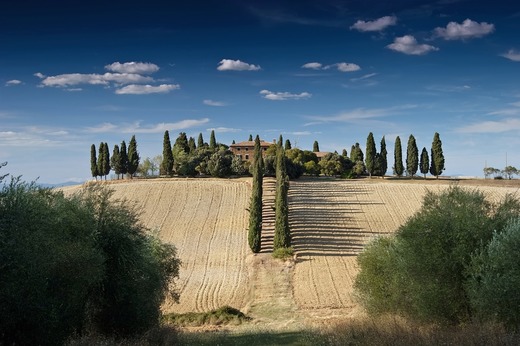 Problema cauzată de lipsa forței de muncă este din ce în ce mai gravă în Italia. Din agricultură lipsesc 100.000 de muncitori sezonieri. „Italia se prăbușește, la fel și întreprinderile sale. Aceasta este cruda realitate."