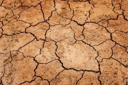 Guvernul olandez declară penurie de apă din cauza secetei