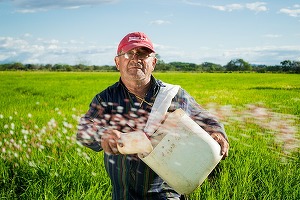 Răspunsul european la criza alimentară globală