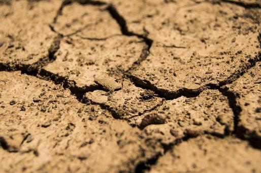 Suprafața agricolă afectată de secetă a urcat
