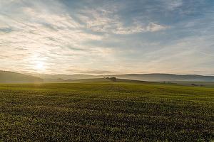ADS scoate la licitație peste 10.000 de hectare de teren agricol în mai multe județe
