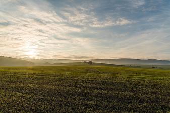 ADS scoate la licitație peste 10.000 de hectare de teren agricol în mai multe județe