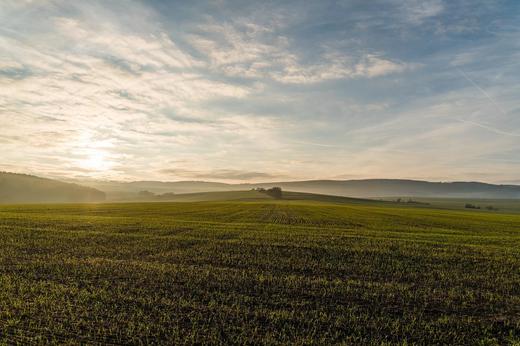 ADS scoate la licitație peste 10.000 de hectare de teren agricol în mai multe județe