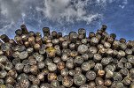 Romsilva va majora volumul de lemn pentru foc destinat populației și industriei pentru a acoperi cererea